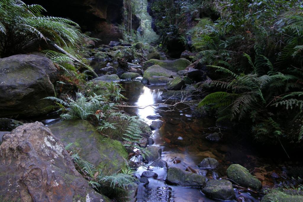 Blue Mountains Heritage Motel Katoomba Ngoại thất bức ảnh